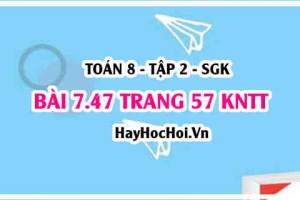 Bài 7.47 trang 57 Toán 8 Tập 2 Kết nối tri thức